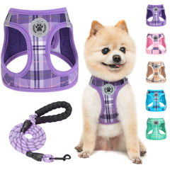 Harnais BEAUTYZOO petit chien plaid violet, mise en place rapide.
