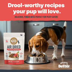 Because It’s Better: protéine de boeuf de haute qualité pour muscles et vitalité du chien