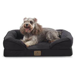 Bedfolks lit orthopédique pour chien avec mousse œuf, soutien articulations.