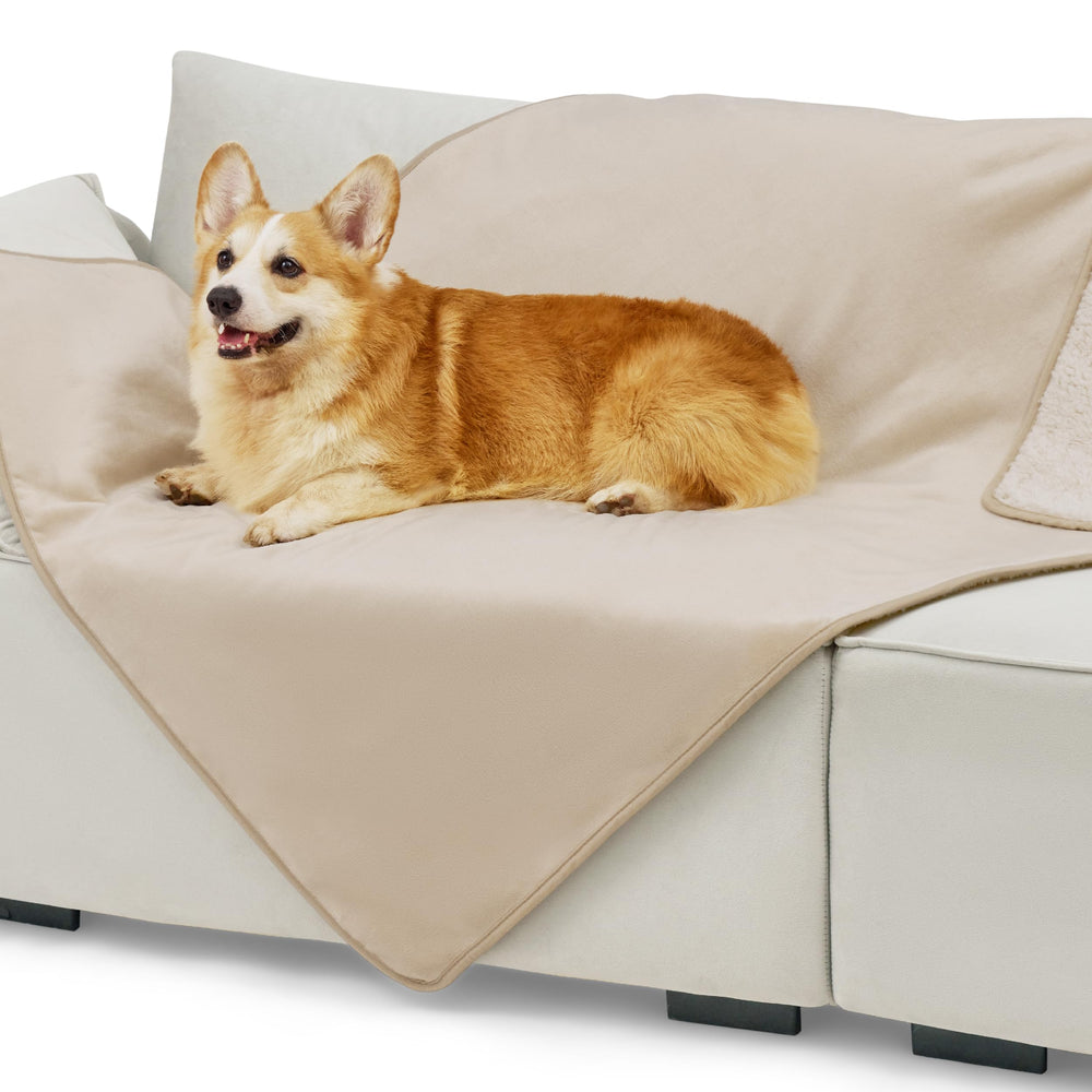 Bedsure couverture chat imperméable sur canapé protège les meubles.