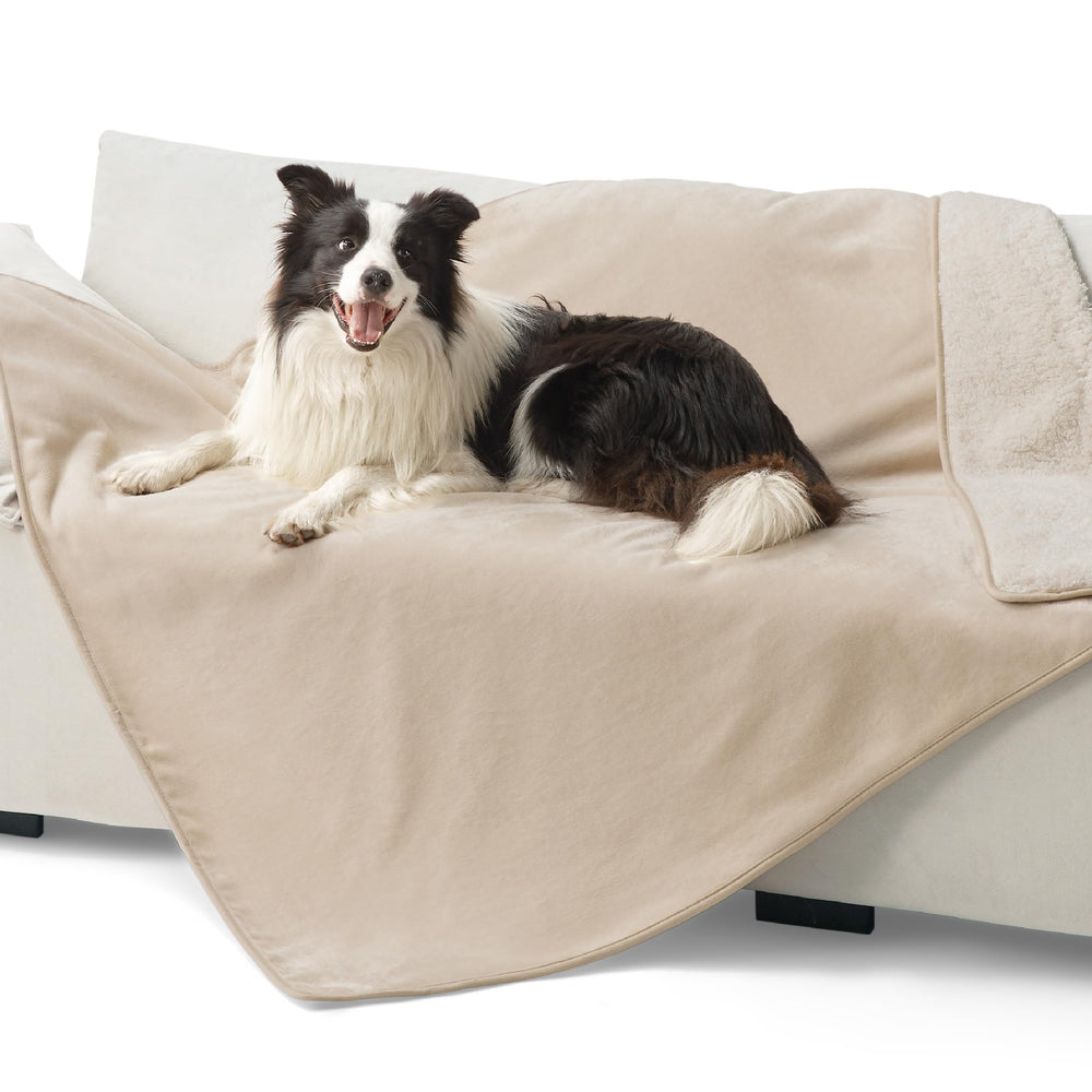 Bedsure couverture chat impermeable pour canapé, protège contre les liquides.