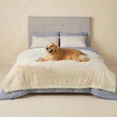 Bedsure couverture chien imperméable crème protège canapé des déversements