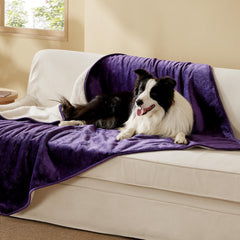 Bedsure couverture chien impermeable xl – avant, protège canapé des liquides.