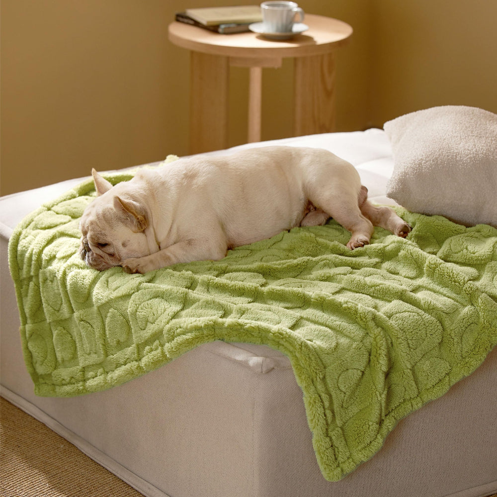 Bedsure couverture chien moyen verte, douceur et chaleur pour les siestes à la maison.