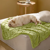 Bedsure couverture chien moyen verte, douceur et chaleur pour les siestes à la maison.