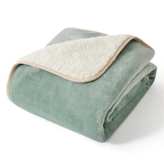 Bedsure couverture chien petit sur canapé protège contre taches et débris.