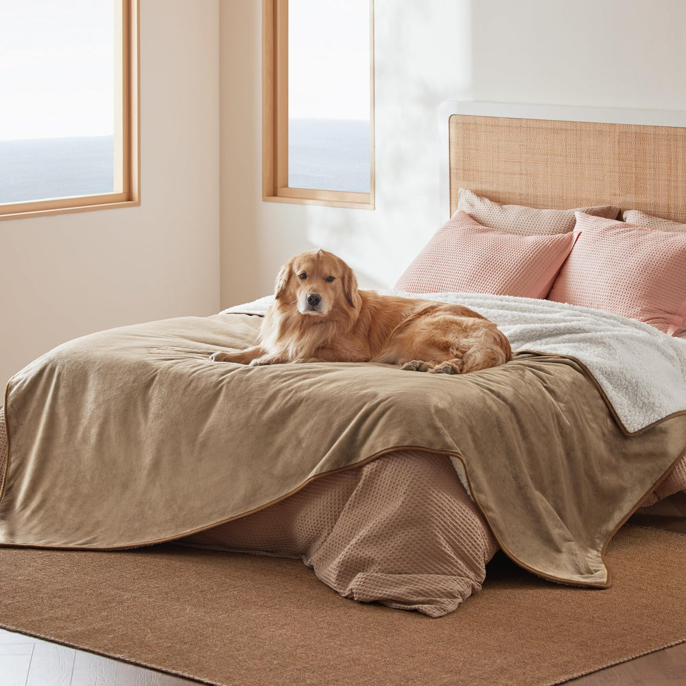 Bedsure couverture chien sherpa imperméable pour chaleur et confort.