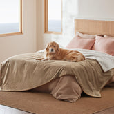 Bedsure couverture chien sherpa imperméable pour chaleur et confort.