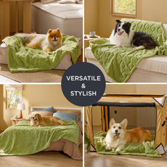 Bedsure couverture domestique verte, s'intègre au salon et au lit d'appoint.
