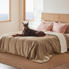 Bedsure couverture impermable lit sherpa pour chien au chaud