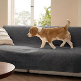 Bedsure couvre-canapé imperméable pour canapé et chien protégeant des liquides.