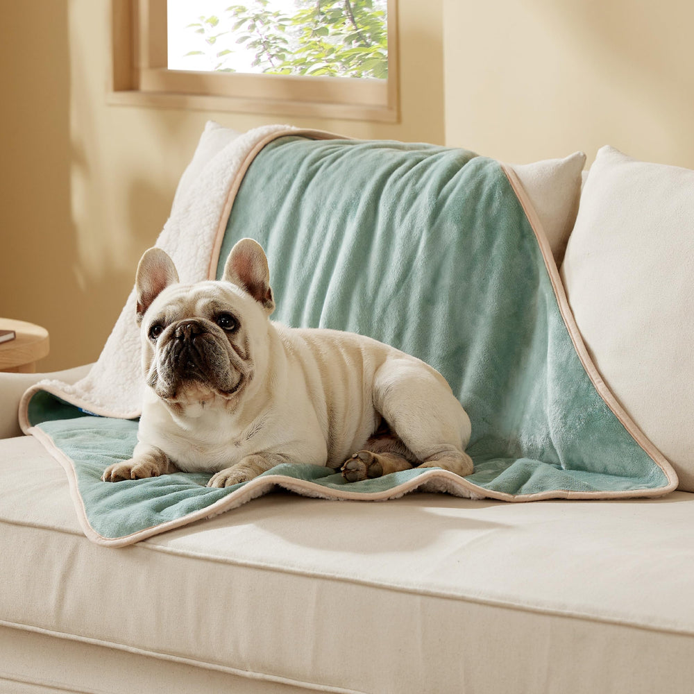 Bedsure: couverture imperméable pour chien protège le canapé des liquides.