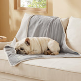 Couverture Bedsure imperméable pour chien moyen protégeant canapé et tapis.