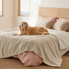 Bedsure couverture imperméable chien sherpa crème protège le canapé et réchauffe le chien
