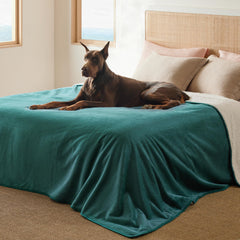 Bedsure couverture imperméable pour lit protège canapé et sol
