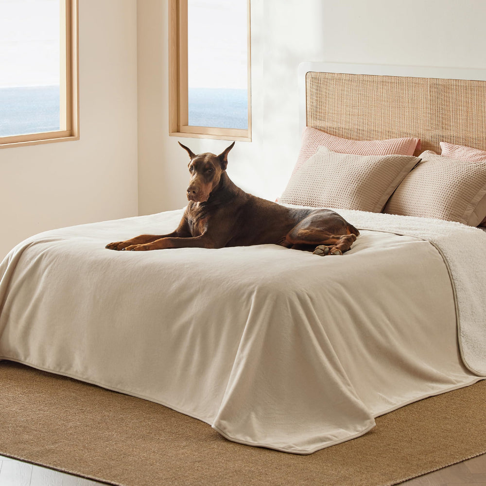 Bedsure couverture imperméable sherpa: vue d’ensemble et protection des liquides.