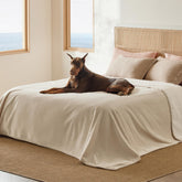 Bedsure couverture imperméable sherpa: vue d’ensemble et protection des liquides.