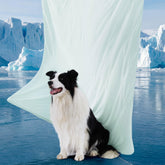 Bedsure couverture refroidissante Air-Core: sensation fraîche immédiate pour votre animal.