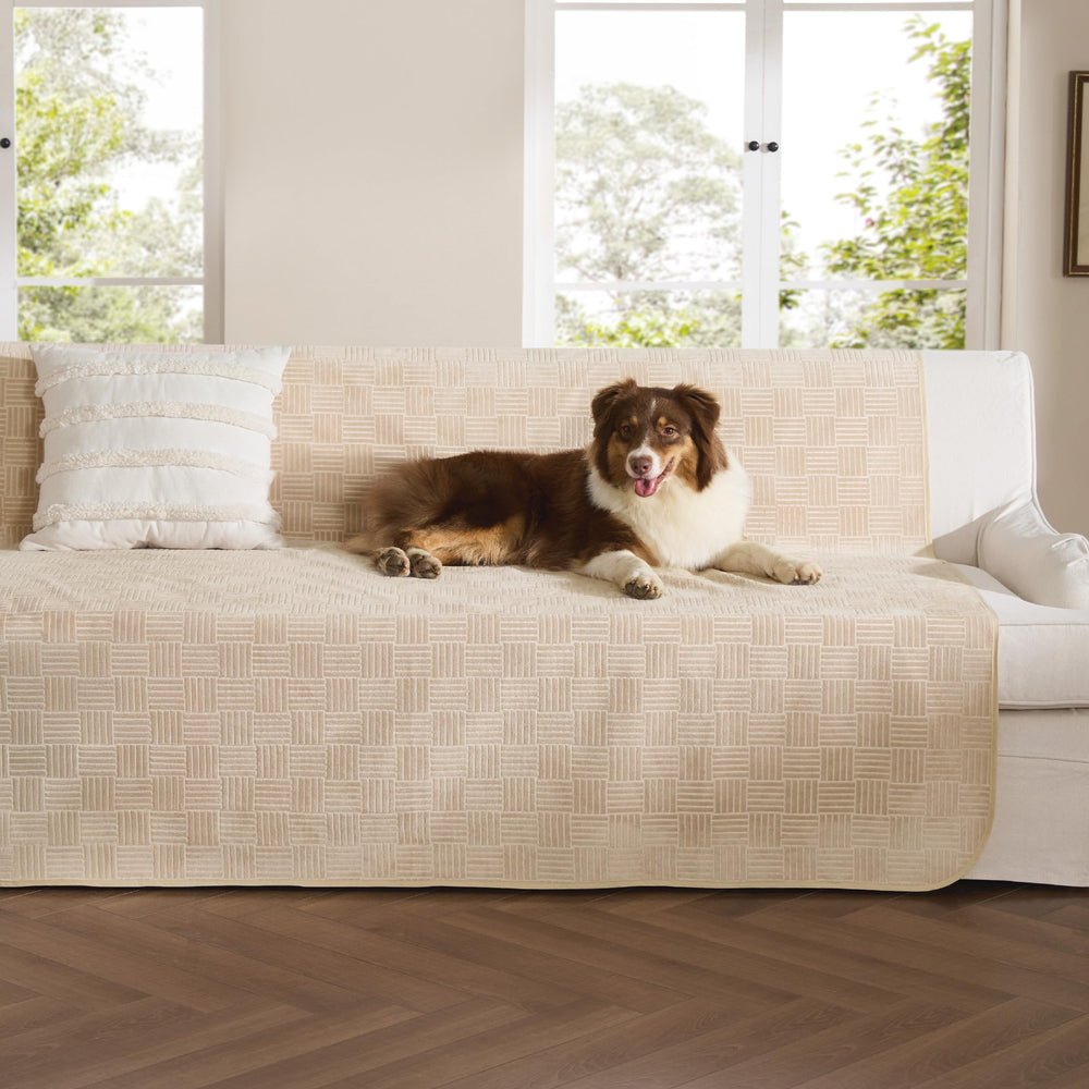 Bedsure couvre-canape imperméable pour chiens protège des éclaboussures.