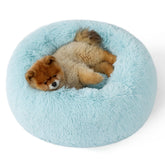 Bedsure lit donut pour petit chien, bleu aqua, confort moelleux.