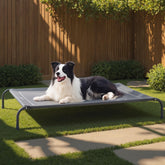 Bedsure lit-chien-eleve-exterieur: lit sur pied offrant ventilation et confort en plein air.