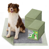 Bedsure Tapis Pipi Chien Grande Taille 28x34 : absorption rapide pour protéger les sols
