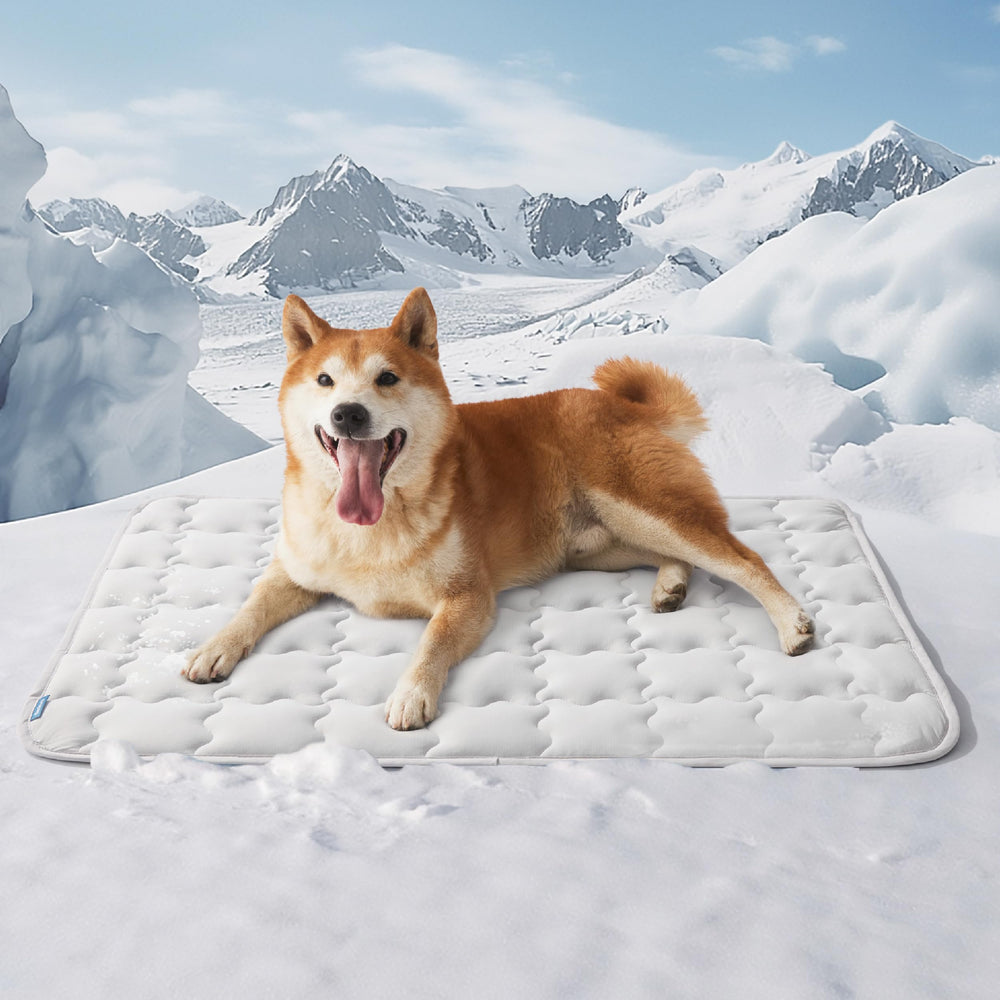 Bedsure Tapis refroidissant pour grands chiens, vue avant, refroidissement rapide et agréable.