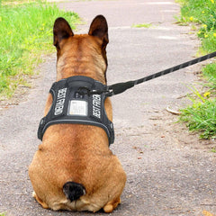 Beebiepet système Molle sur les côtés pour équipements supplémentaires.