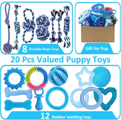 Beiker anneaux dentaires bleu, massage des gencives pour chiots