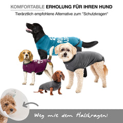 BellyGuard Combinaison récupération chien – dos, protège les plaies sans gêner les mouvements.