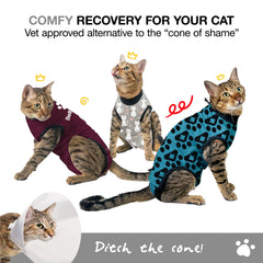 BellyGuard: combinaison après chirurgie pour chat, protection des zones opérées.