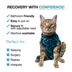BellyGuard: confort et mobilité accrus après opération pour le chat.