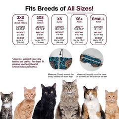 BellyGuard protection-sites-chirurgicaux-chat, protection ciblée pour la zone opérée.