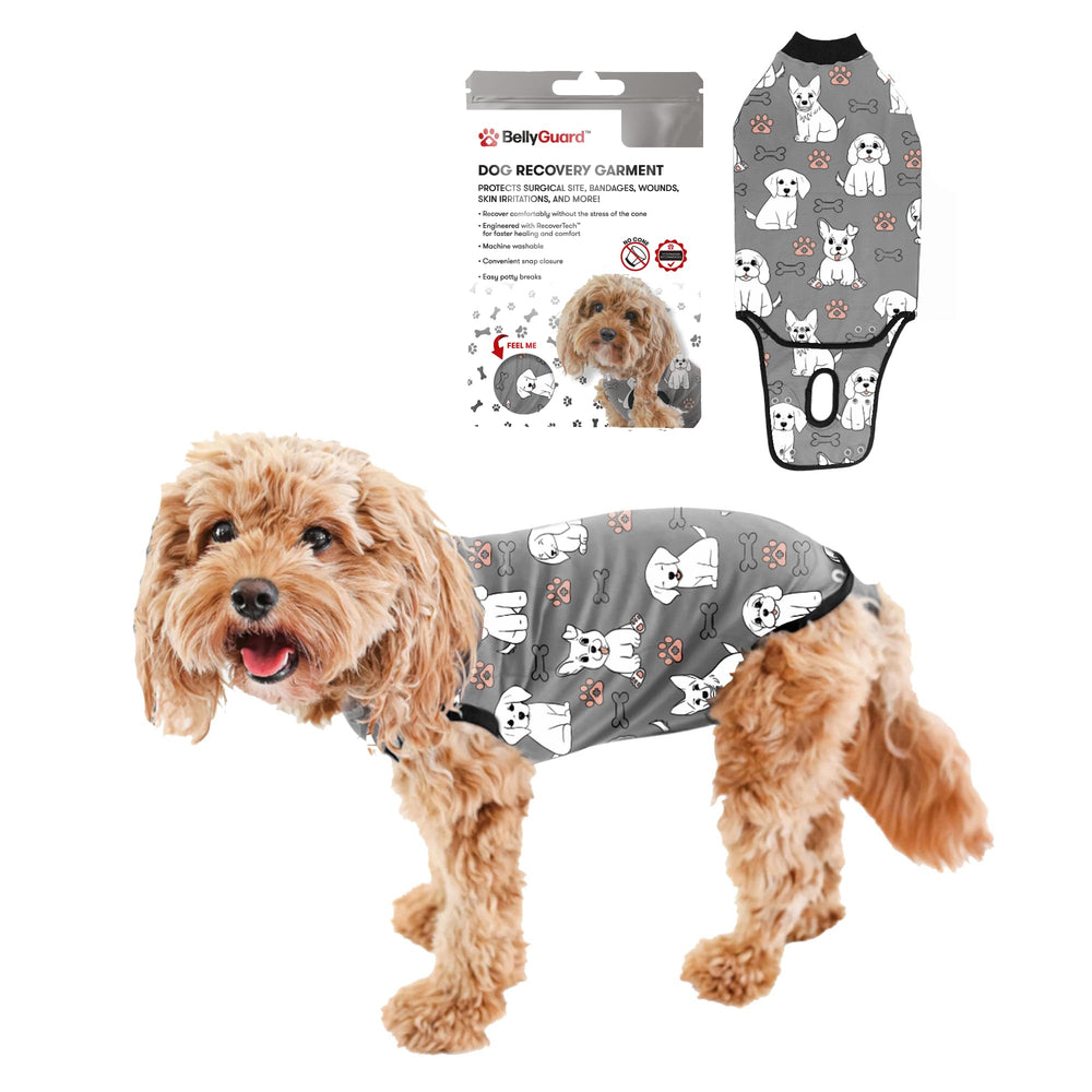 Combinaison BellyGuard de récupération pour chien post-opératoire, protège les sutures et permet le mouvement.