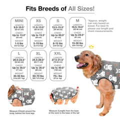 Confort et protection : BellyGuard couvre les plaies sans restreindre le chien.