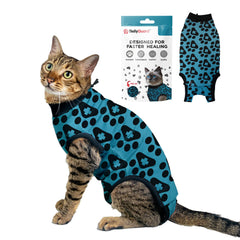 BellyGuard-suit: confort optimal pendant la récupération d'une chatte femelle.