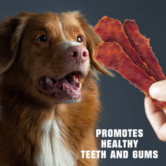 Beloved Pets canard jerky sans cuir cru, texture naturelle et digestible.