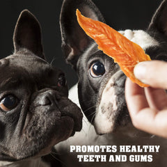 Beloved Pets – emballage doux en vrac, facile à emporter lors des sorties