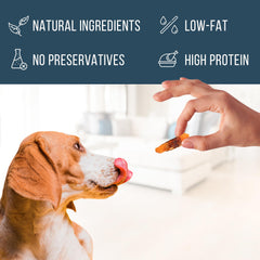 Beloved Pets Wraps proteine elevee poulet, friandise idéale pour chiens actifs.