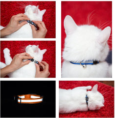 Bemix Pets collier chat confort ajustable nylon, maintien adapté du chaton au chat adulte.