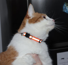 Bemix Pets collier chat decrochable securite, arret rapide en cas de pression.