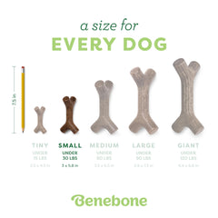 Benebone Bacon Stick Petit – durable et fabriqué aux États‑Unis.