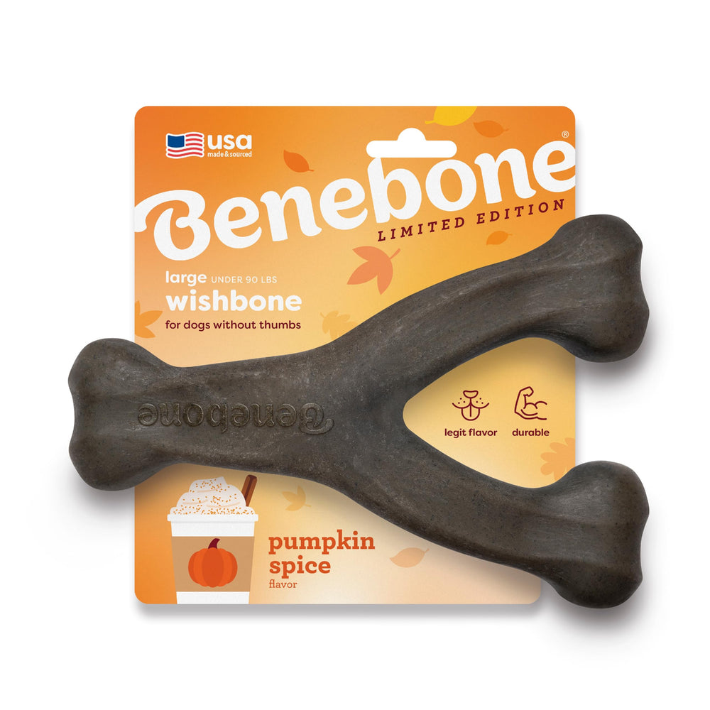 Benebone Pumpkin Spice Wishbone, jouet mâche durable pour chiens agressifs.
