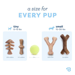 Benebone Puppy 4-Pack nylon durable, robuste pour chiots modérés.