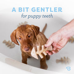 Benebone Puppy 4-Pack prise-pattes ergonomique, facile à saisir par les chiots.