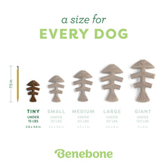 Benebone Tiny 2-Pack fabriqué aux États-Unis: produit local et qualité