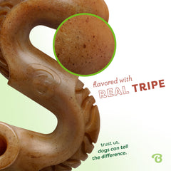 Benebone Tripe Bone, odeur neutre, chien satisfait par la mastication.