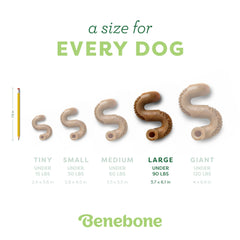 Benebone Tripe Bone, poche remplissable pour garnitures variées.