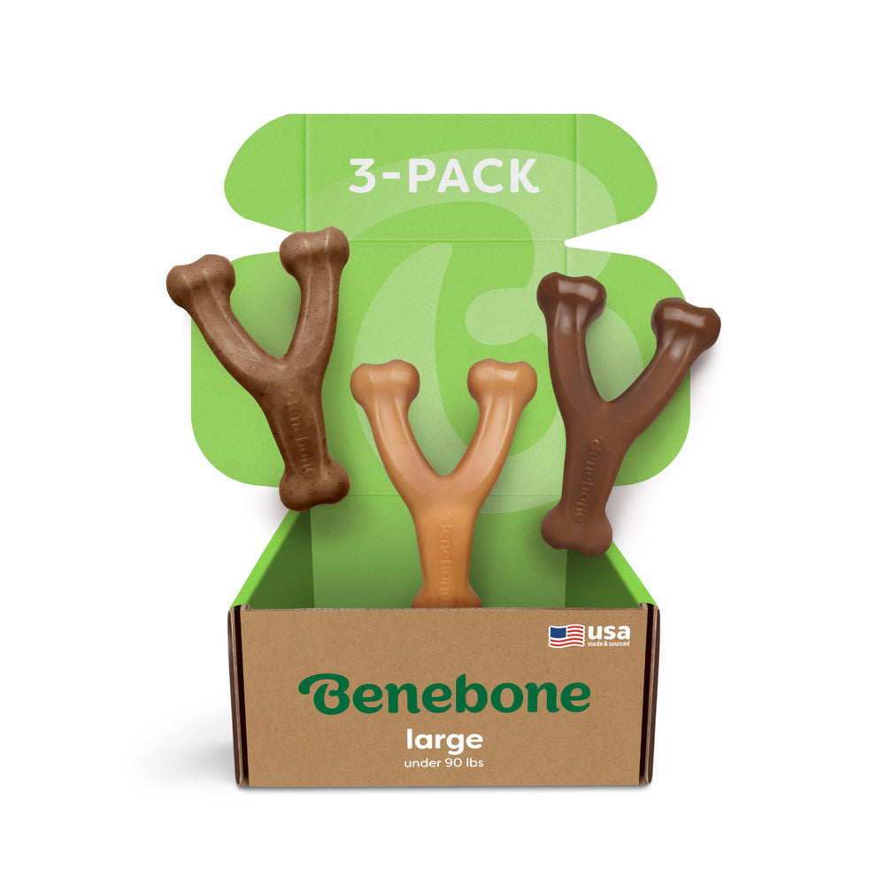Benebone Wishbone bacon – os durable, stimulation mentale et goût appétissant.