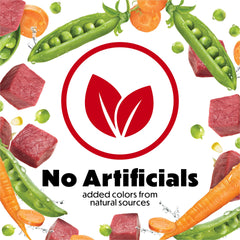 Antioxydants naturels pour immunité, croquettes Beneful Originals